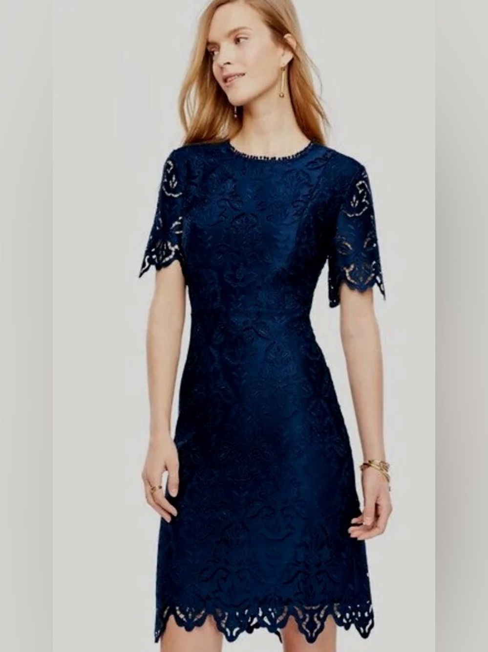 Ann Taylor Botanical Lace Sheath Dress